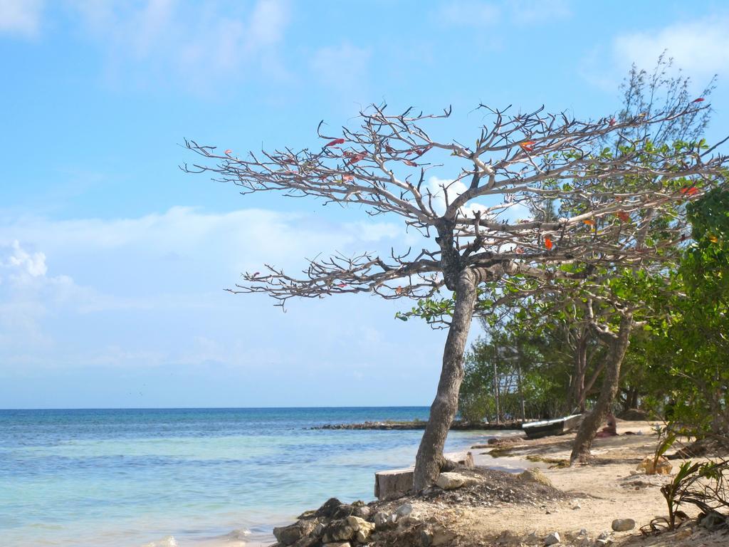 Coral View Beach Resort ウティラ エクステリア 写真