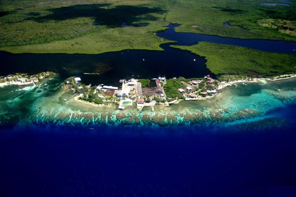 Coral View Beach Resort ウティラ エクステリア 写真
