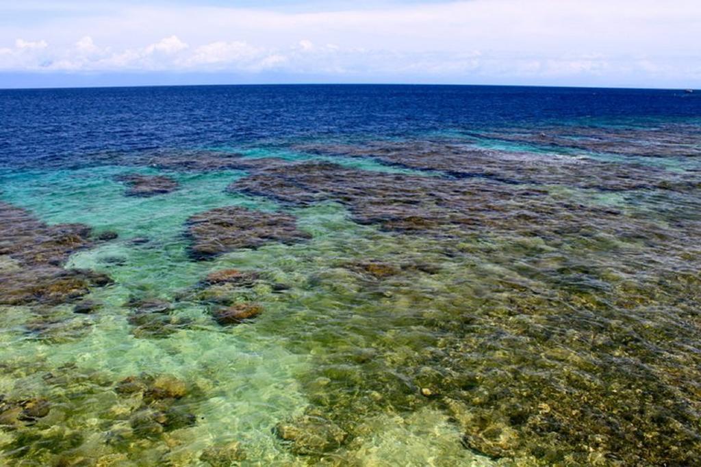 Coral View Beach Resort ウティラ エクステリア 写真